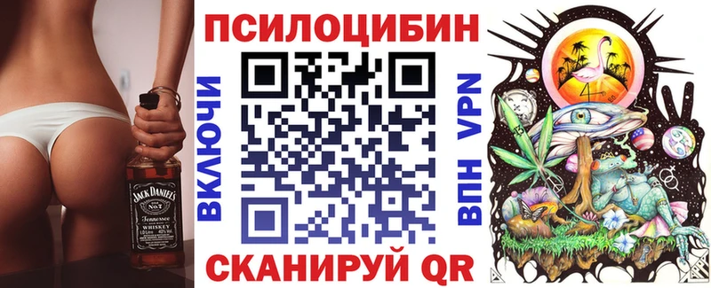 Галлюциногенные грибы Psilocybe  Новотроицк 